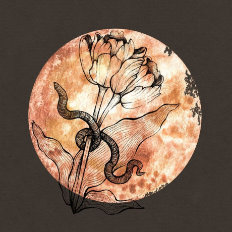 לבנת התולעת - מרץ